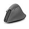 Vue détaillée d'une souris ergonomique grise, de côté. Port USB-C noir.