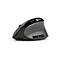 Souris ergonomique grise et noire avec boutons latéraux.
