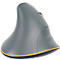 Souris ergonomique grise avec liseré jaune. Facteur de forme vertical, pour une position naturelle de la main.