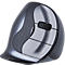 Souris verticale Evoluent D wireless BakkerElkhuizen, ergonomique, USB, 5 boutons mollette de défilement incluse, chromé