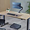 Configuration de bureau avec moniteur, clavier, souris, carnet et plante en pot. Le moniteur affiche un paysage. Tapis gris pour accessoires.