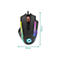 Schwarze Gaming-Maus von Speedlink mit RGB-Beleuchtung und Maßangaben von 130mm Länge und 80mm Breite.