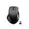 Drahtlose ergonomische Maus in Schwarz, mit Scrollrad und USB-Empfänger.