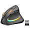 Ergonomische, graue Maus mit seitlichen Tasten und RGB-Beleuchtung. Ein USB-Empfänger liegt daneben.
