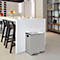 SPIRELLA Treteimer ALIYA, 2 x 20 Liter, Tretmechanismus, L 450 x B 300 x H 510 mm, matt/taupe