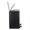 SPIRELLA Treteimer ALIYA, 2 x 20 Liter, Tretmechanismus, L 450 x B 300 x H 510 mm, schwarz/matt