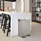SPIRELLA Treteimer ALIYA, 2 x 30 Liter, Tretmechanismus, L 450 x B 300 x H 710 mm, matt/taupe
