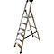 Silver step ladder with black steps and a handrail, set against a white background.