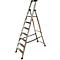 Aluminum ladder, six steps, freestanding, on a white background.