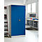 Stalen kast, B 920 x D 420 x H 1950 mm, 4 legborden, lichtgrijs RAL 7035/gentiaanblauw RAL 5010