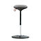 Dark gray standing aid, oval seat, black column, silver foot.