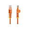 Zwei orangefarbene Netzwerkkabel-Stecker vor weißem Hintergrund. Der Stecker ist transparent und zeigt die internen Drähte.