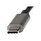 Nahaufnahme eines grauen USB-C-Steckers mit metallischer Innenseite, der auf weißem Hintergrund abgebildet ist.