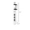 Steckdosenleiste Olympia IOIO SL 3000, 3-fach + 2 x USB-A und 1 x USB-C, Kabellänge 1,5 m, Polypropylen, weiß