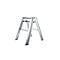 Silberne Trittleiter vor weissem Hintergrund. Die Leiter hat zwei Stufen und steht auf vier Füssen.