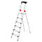 Silver stepladder, side view, on white background. The ladder has six steps, red armrests and a black handrail.
