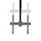 Support d'écran de plafond NM-C440BLACK NewStar, jusqu'à 60', inclinable/rotatif/pivotant, hauteur ajustable