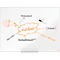 Tableau blanc Prestige nobo - cadre alu - surface émaillée - l. 1200 x H 900 mm - avec auget