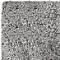 Tapijt Dolce, PP, dikte 12 mm, wasbaar, B 1600 x D 2300 mm, donkergrijs