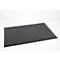 Paillasson rectangulaire gris foncé sur fond blanc avec une fine bordure noire.