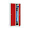 Taquilla, 2 puertas, An 800 x Al 1800 mm, cierre de pasador giratorio, gris luminoso/rojo intenso