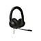 Schwarzes Headset mit Mikrofon. Das Targus-Logo ist am Kopfband sichtbar.
