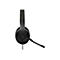Schwarzes Headset mit Mikrofon, Targus-Logo. Detailaufnahme vor weiÃŸem Hintergrund.