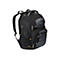 Targus Drifter - Notebook-Rucksack - 39.6 cm (15.6') - Grau, Schwarz