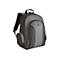 Targus Essential - Notebook-Rucksack