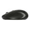 Targus Multi Device Midsize Comfort - Maus - antimikrobiell - kabellos - 2.4 GHz, Bluetooth