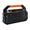 TechniSat DigitRadio 231 OD - Tragbares DAB-Radio - 30 Watt - Schwarz