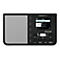 TechniSat STERNRADIO IR 2 - Internetradio - 2 Watt - Schwarz
