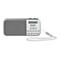 TechniSat TechniRadio RDR - Tragbares DAB-Radio - 1 Watt