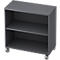 TOPAS LINE verrijdbare boekenkast, spaanplaat, 2 OH, B 800 x D 400 x H 820 mm, grafiet