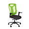 Office chair with green back and black seat, armrests, and base. Stands against a white background.