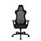 Black office chair with mesh back and armrests, isolated on white background.