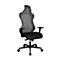 Black office chair with mesh back, armrests, and castors.