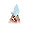 TP-Link TL-WR802N - Wireless Router - 802.11b/g/n - Desktop