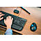 Trackball Kensington Pro Fit™ Ergo TB450, ergonomisch, snoerloos, op batterijen, 400/800/1200/1600 dpi, PCR, grijsblauw