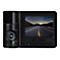 Transcend DrivePro 550B - Kamera für Armaturenbrett - 1080p / 60 BpS - Wi-Fi - GPS / GLONASS