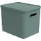 Transportbox Rotho Albula, Volumen 27 l, stapelbar, mit abnehmbarem Deckel und Grifflöchern, L 370 x B 290 x H 295 mm, Recycling-Kunststoff, grün