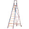 Trapladder, met wieltjes, 10 treden