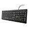 Schwarze kabelgebundene Trust Tastatur mit Standard-Layout und Ziffernblock vor weißem Hintergrund.