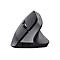 Seitliche Ansicht einer grauen, ergonomischen Vertikalmaus von Trust mit USB-C-Anschluss.