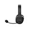Trust GXT 391 Thian - Headset - ohrumschließend - 5,8 GHz - kabellos, kabelgebunden - 3,5 mm Stecker, USB-A