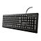 Trust TK-150 - Tastatur - USB - QWERTZ - Deutsch