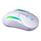 Weisse Gaming-Maus mit LED-Beleuchtung, Herstellerlogo und Schriftzug 'Turtle Beach'.