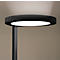 Schwarz-glänzende runde Lampe, die mit einem senkrechten Stiel verbunden ist. Die Lampe scheint hell. Hintergrund ist farblich neutral.