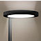 Een zwarte, ronde buitenlamp. De lamp heeft een lichtgevende onderkant en lijkt op een grijze paal te staan.