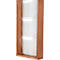 Update Display brochurehouder WoodMagazine, wandmodel, enkelzijdig, hout en acrylglas, beuken, elk 5 A4-compartimenten